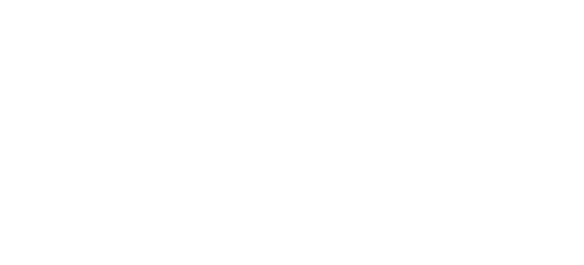 Bruzz